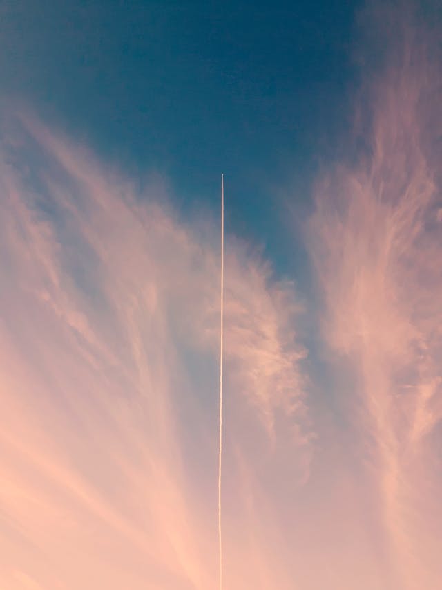 행복한-똥에-관한-꿈을-꾸는-중이다.