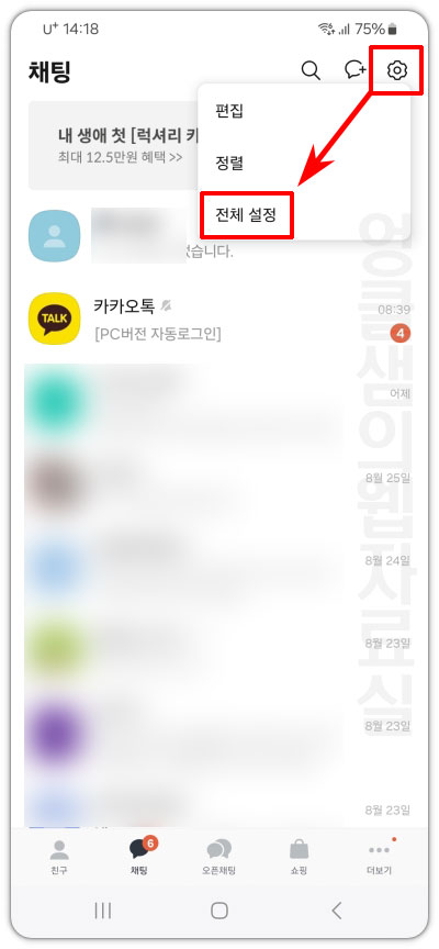 카카오톡 전체 설정