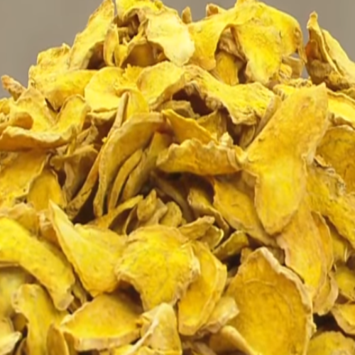 울금-확대-사진