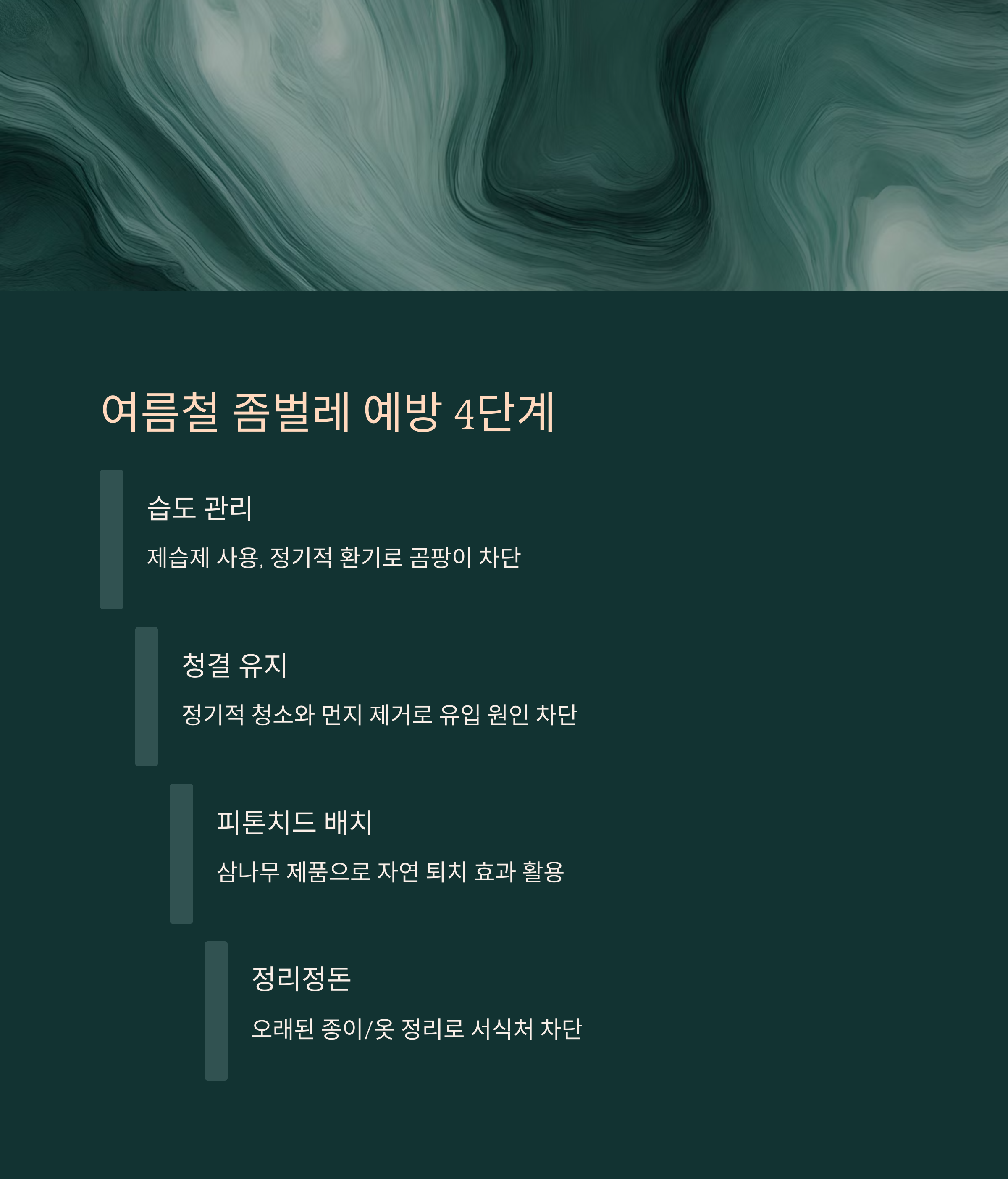 여름철 좀벌레 예방 4단계 정리