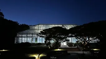 창경궁 야간개장 물빛연화 창경궁 야간개장 인터넷예매 예매 요령_21