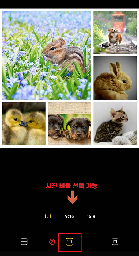 갤러리 만들기 콜라주 사진 합치기