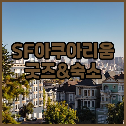 샌프란시스코 아쿠아리움 오브 더 베이..