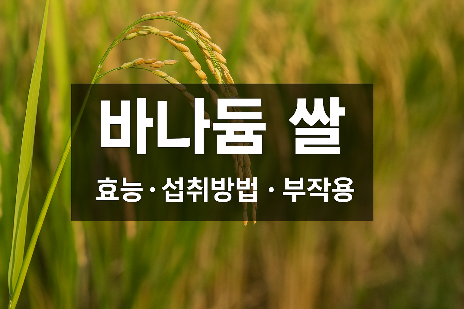 바나듐 씰