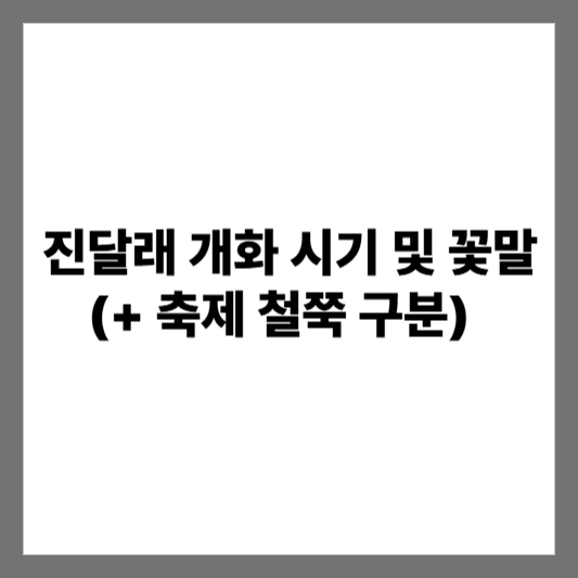 진달래 개화 시기 및 꽃말 (+ 축제 철쭉 구분)