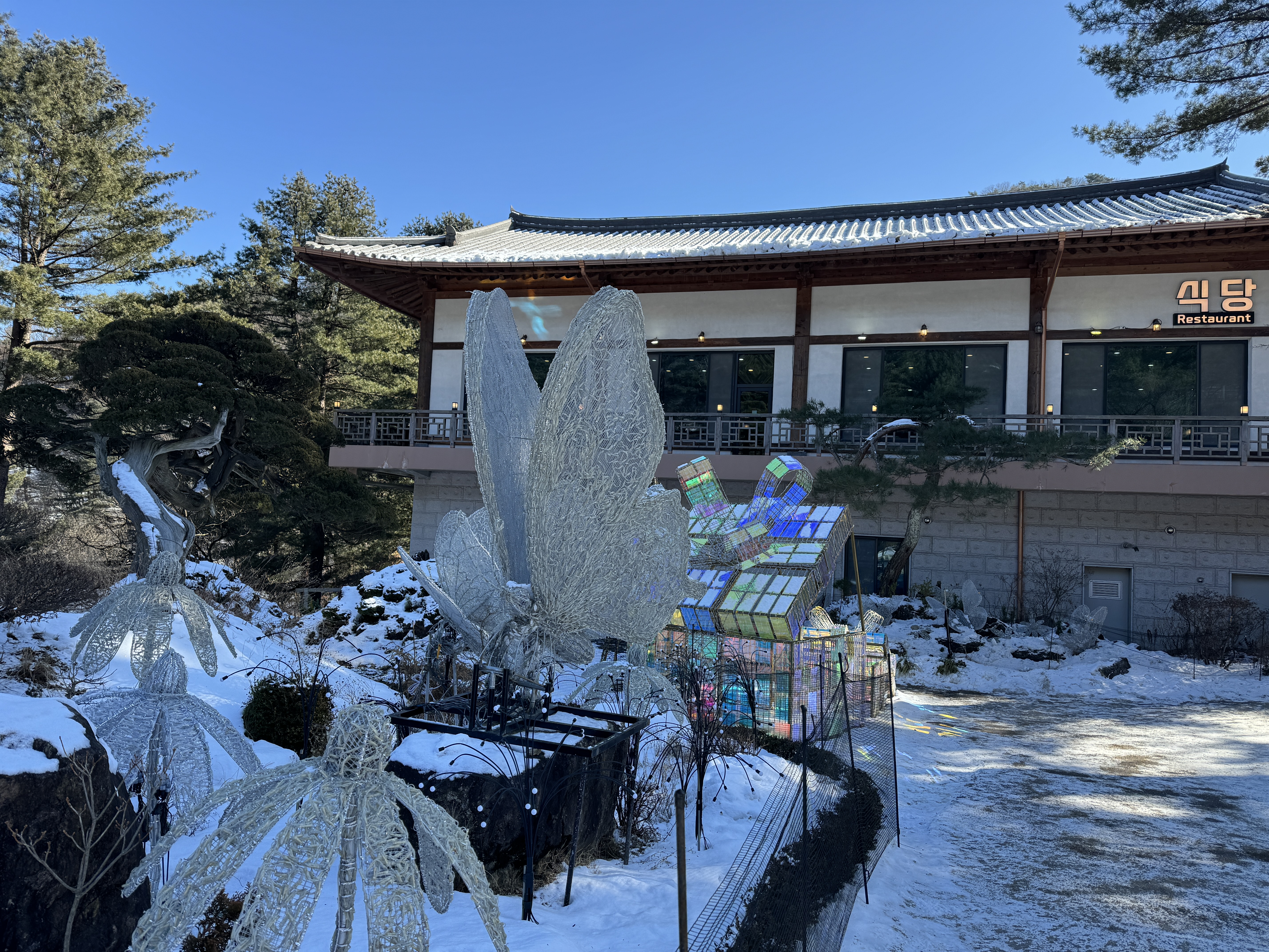 아침고요수목원