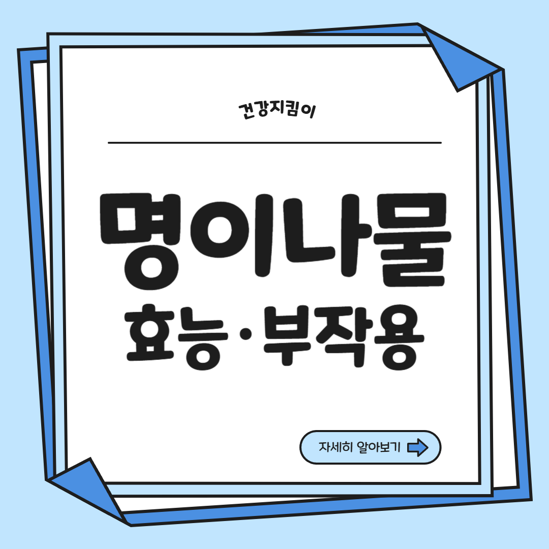 명이나물 효능 부작용 고르는법 영양성분 먹는법