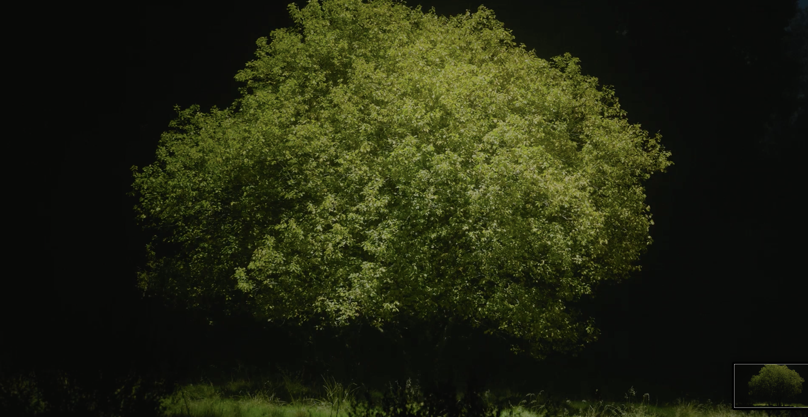 볼보 폴스타3 가격, 제원, 출시일, 성능정보 한눈에 정리!