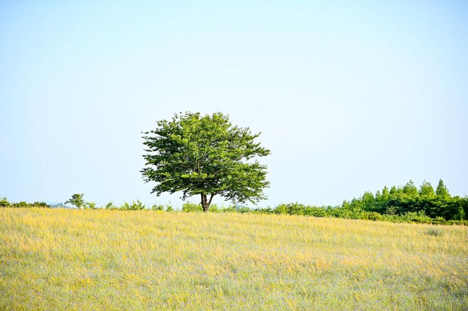 예산 가볼만한곳 베스트10