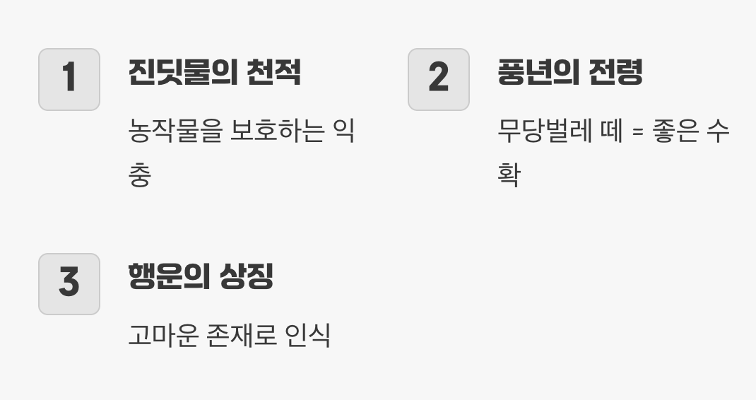 4. 고마운 정원의 수호신