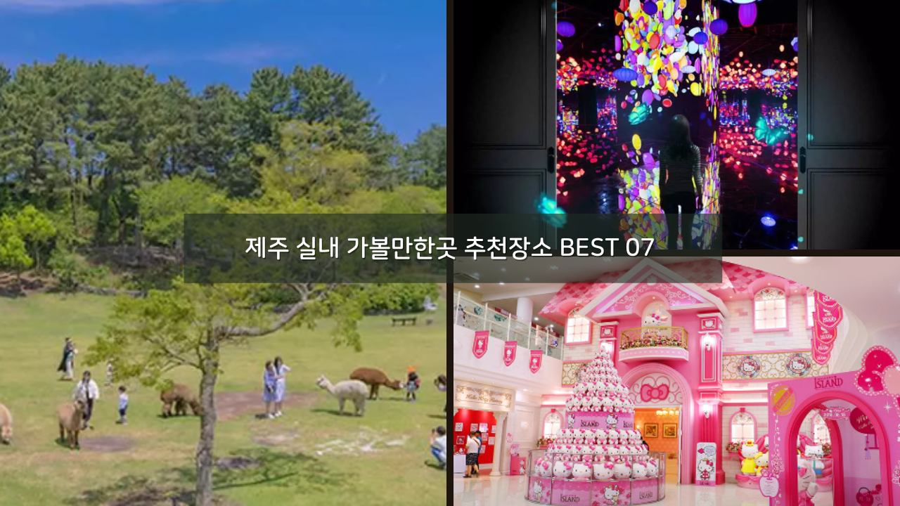 제주 실내 가볼만한곳 추천장소 BEST 07 + 제주 자유여행 필수품 할인