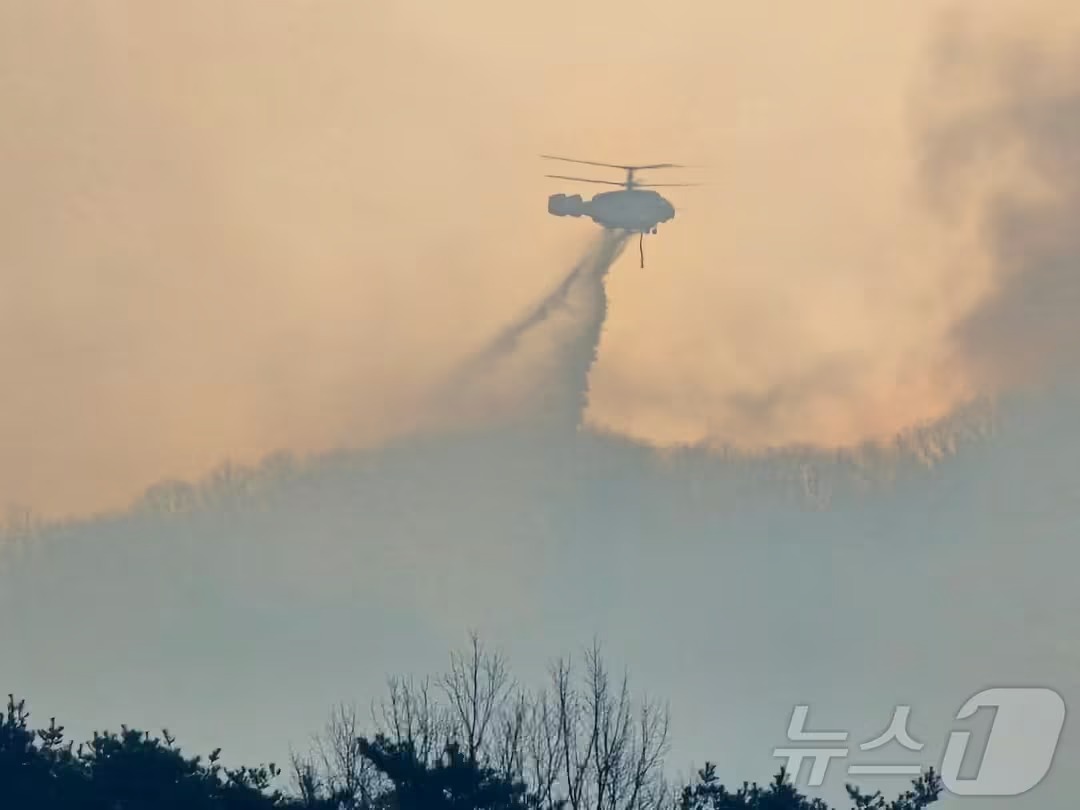 2025년 첫 산불 3단계 발령, 경남 산청 산불 피해 상황과 이후 계획은? / 출처: 뉴스1