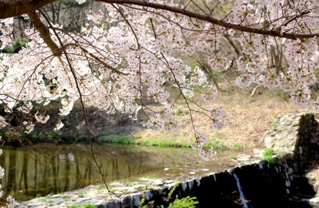 국립자연휴양림