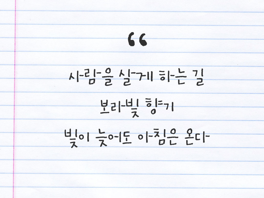 2026년 3월 13일 피어나네 감사노트｜일상을 행복으로 바꾸는 기록 하루 3줄 감사일기