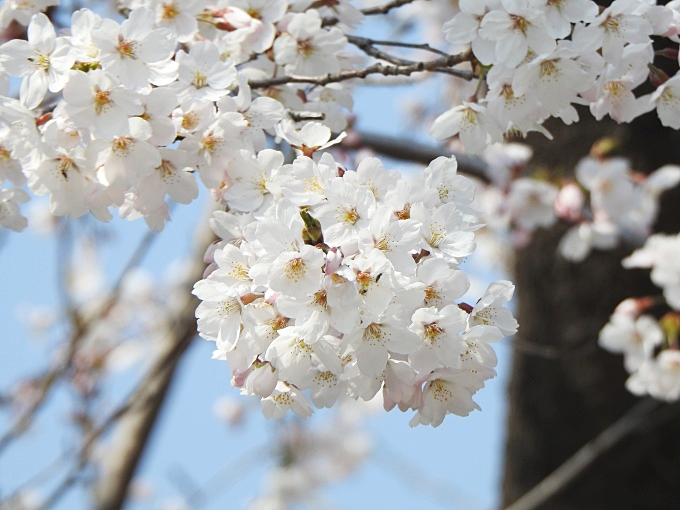 남한산성 둘레길 경기도 가볼만한곳 (둘레길 코스 추천 / 주차정보)