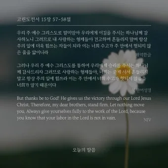 고린도전서 10장 13절 성경말씀 - 사람이 감당할 시험 밖에는 너희가 당한 것이 없나니_12