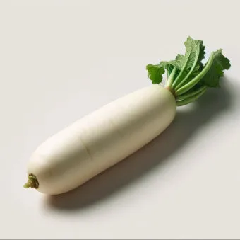 무우 효능 부작용 섭취 방법_5