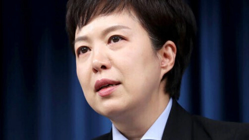 김은혜 전 국회의원 경기 분당을 총선 출마설