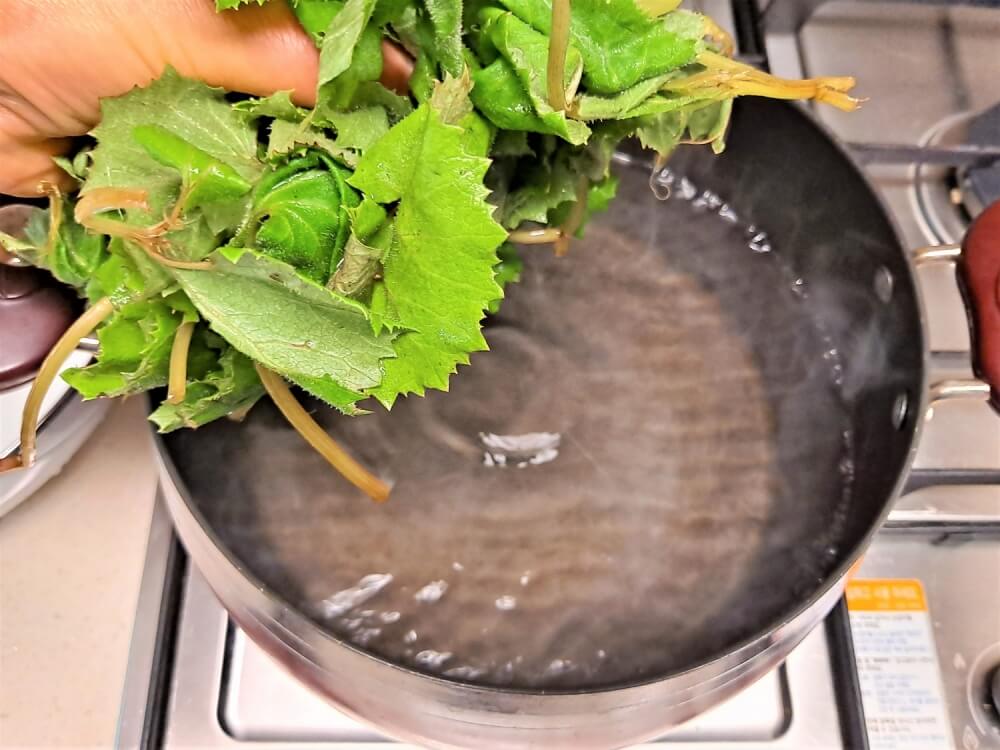 머위 나물 데치기