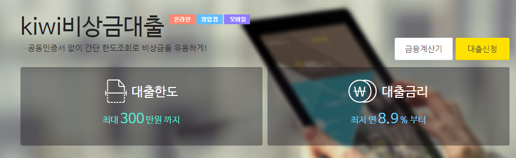 kiwi-비상금대출-정리