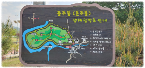 둔주봉