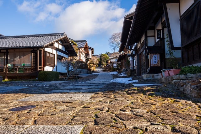 메주콩 효능과 조리법