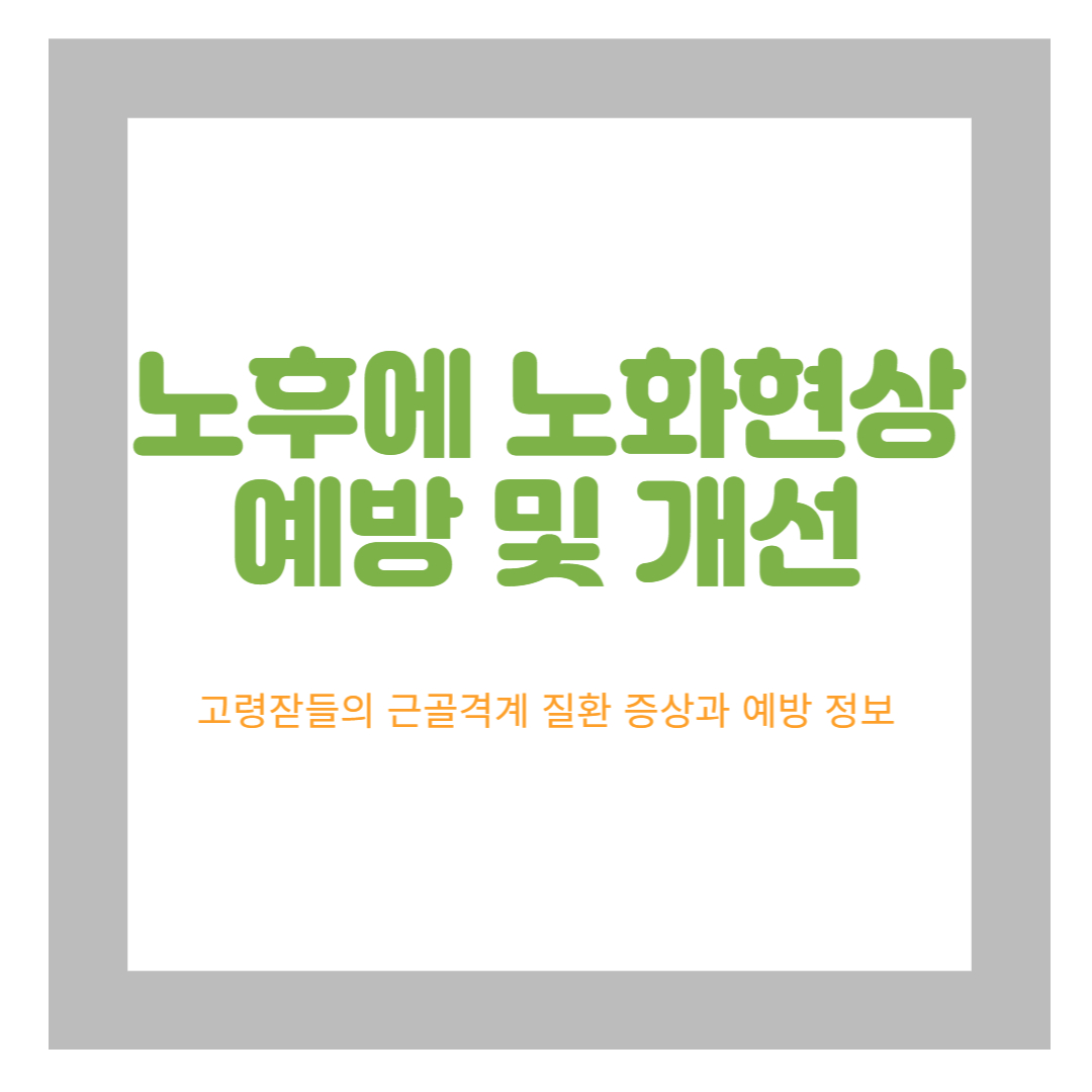 노년기 노화 관리법