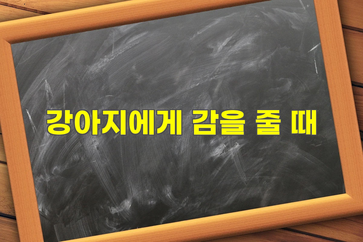 강아지에게 감을 줄 때
