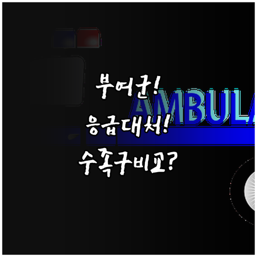 부여군 수족구 진료 병원 비교와 응급..