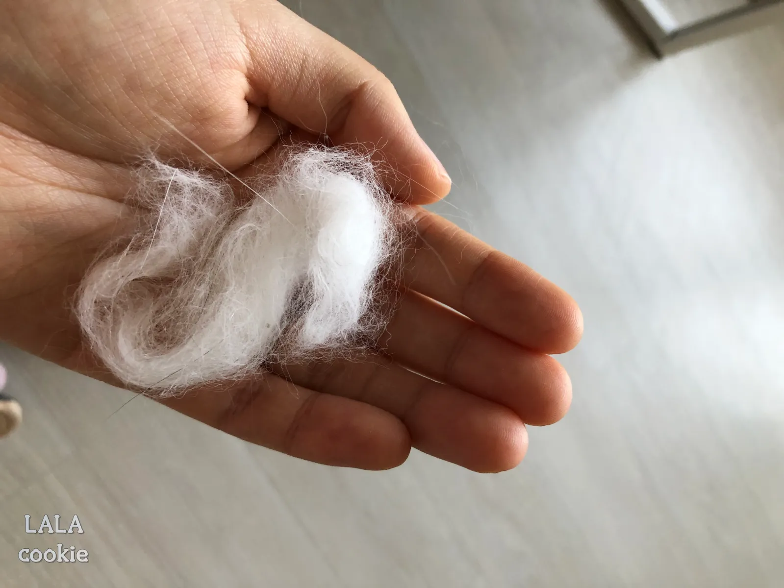 고양이-처음-키울때-힘든점-털뭉치