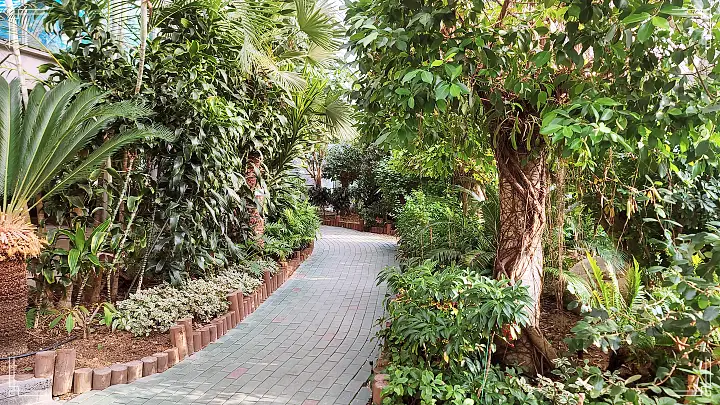 생방송오늘저녁 대한민국 보물정원 수지 동천동 여행 추천