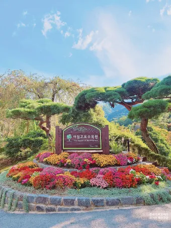 아침고요수목원 입장료 근처 맛집 펜션 추천_7