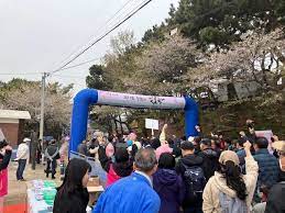 제 12회 장봉도 벚꽃축제 기본일정과 프로그램 및 특징 소개