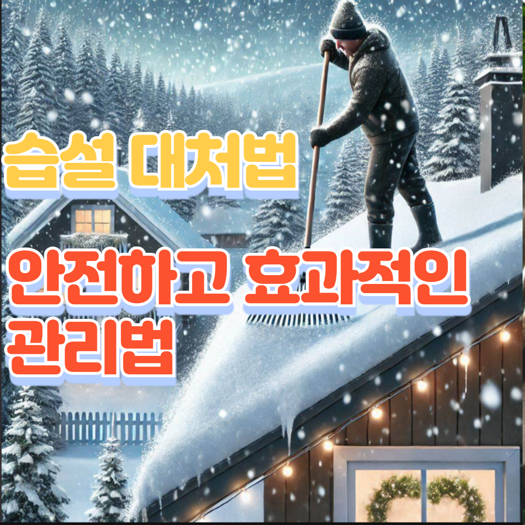 습설 대처법, 안전하고 효과적인 관리법