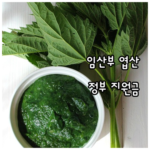 2025년 임산부 엽산 철분 지원: ..