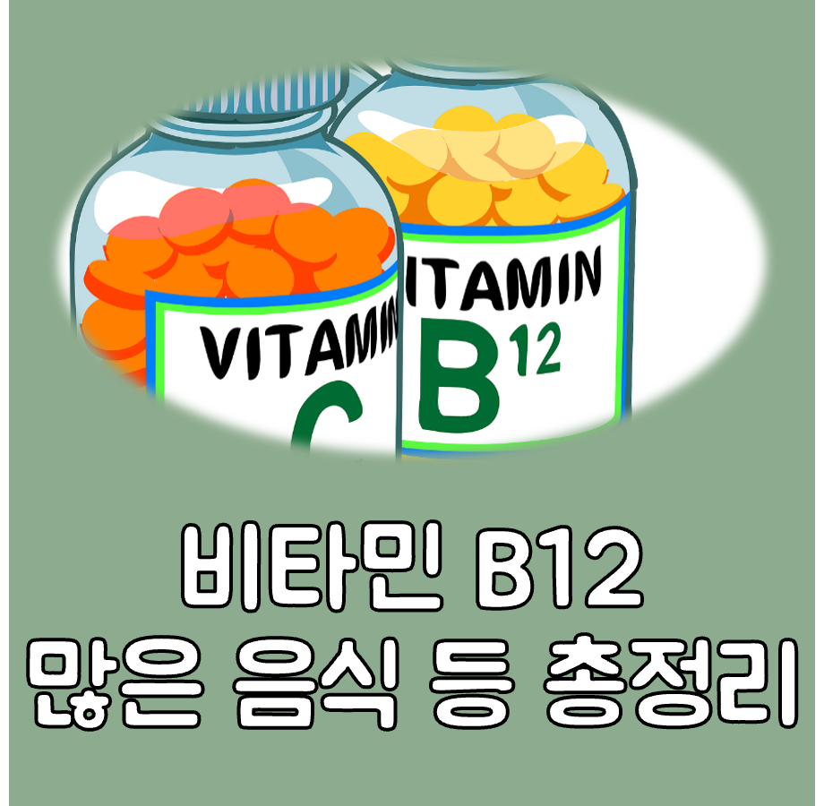 비타민 b12가 많은 음식 대표이미지