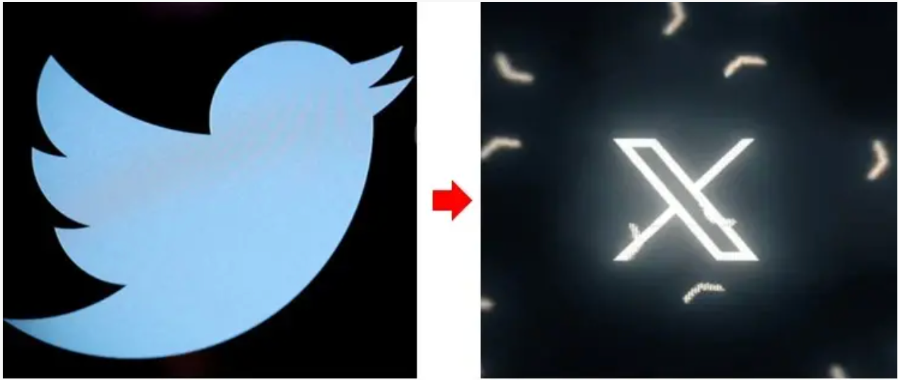 트위터 로고 변경 (2)