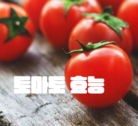 토마토 효능