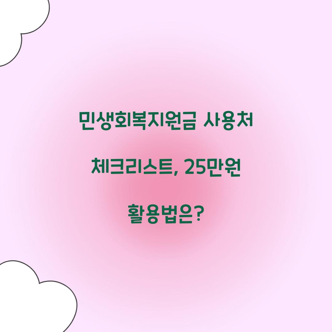 민생회복지원금 사용처