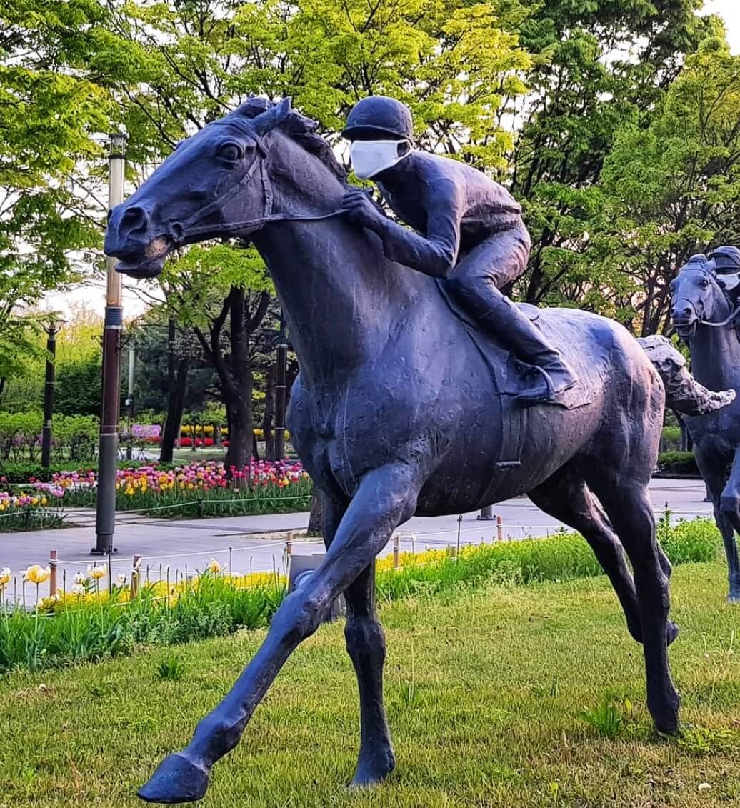 2025 서울숲 튤립 구경 가이드 관련사진