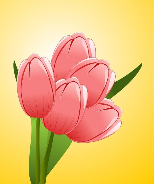 꽃검색15