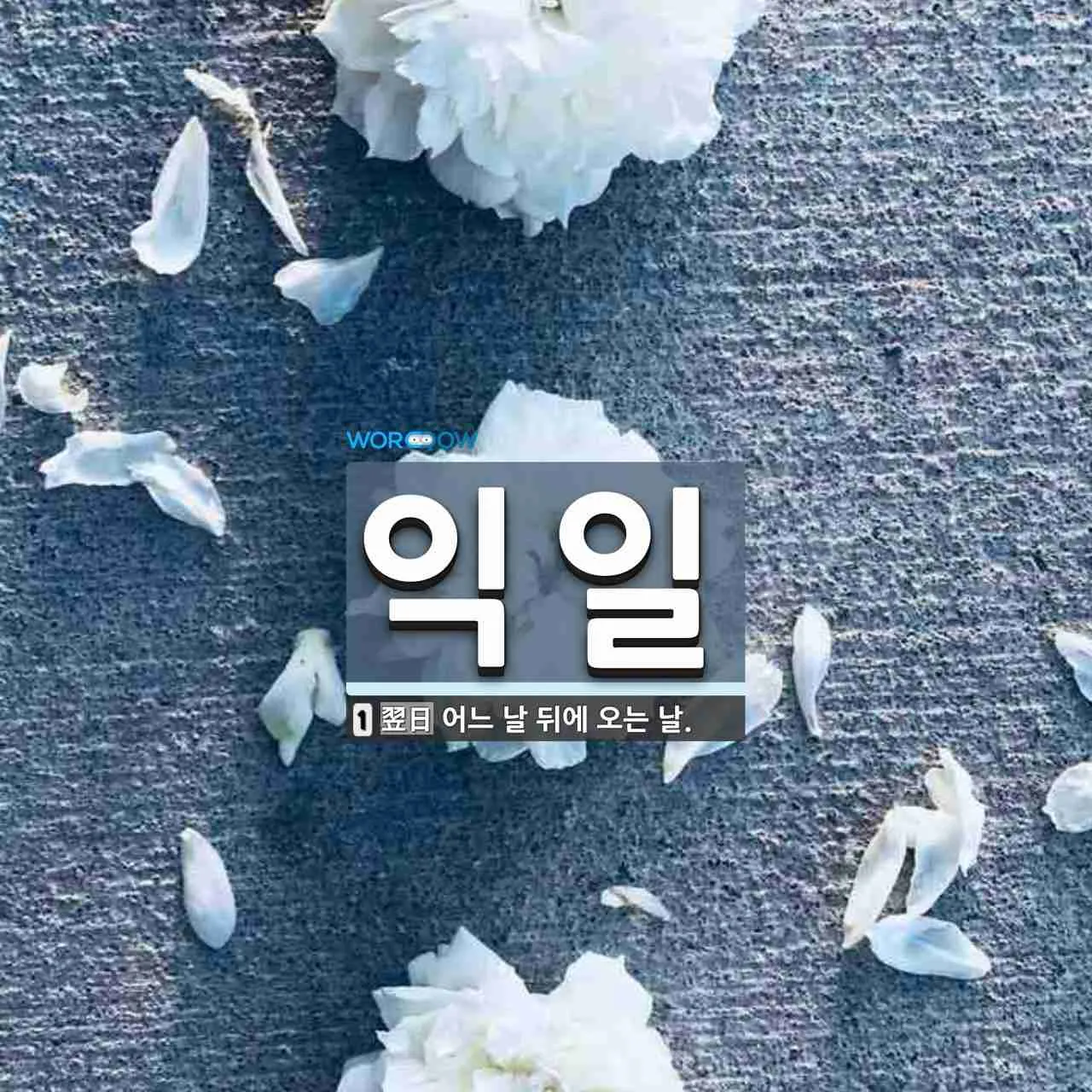 익일 뜻 우체국 익일특급은 언제_5