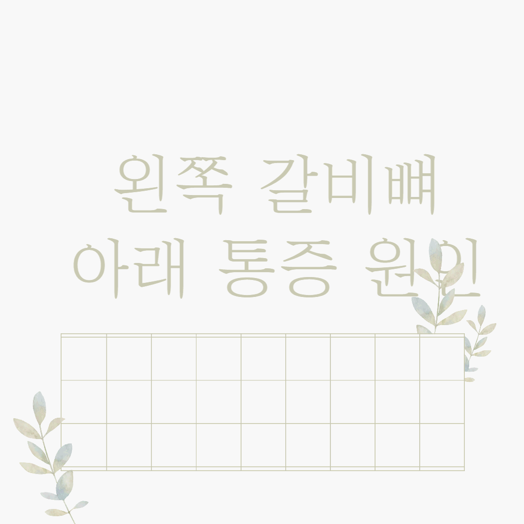 왼쪽-갈비뼈-통증원인