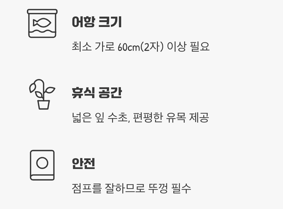 이 친구를 위한 집 꾸미기