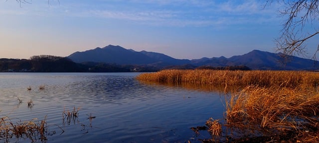 팔당호수