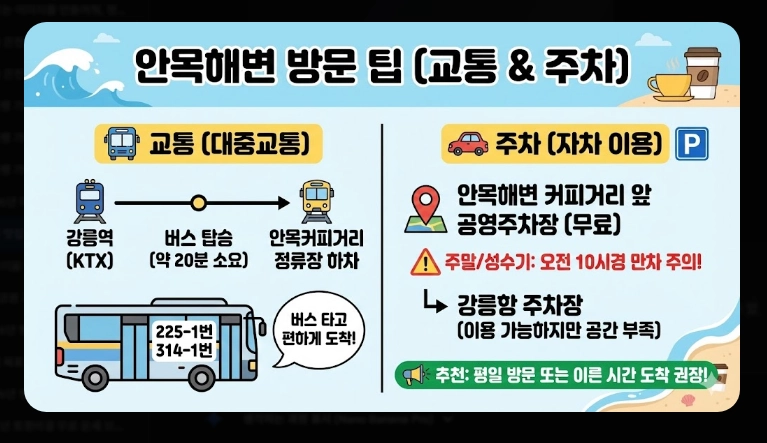 강릉 맛집 안목해변 커피거리 베스트 5 (2026 최신)