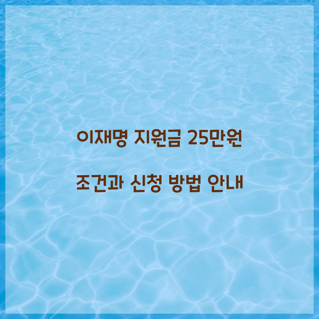 이재명 지원금 25만원