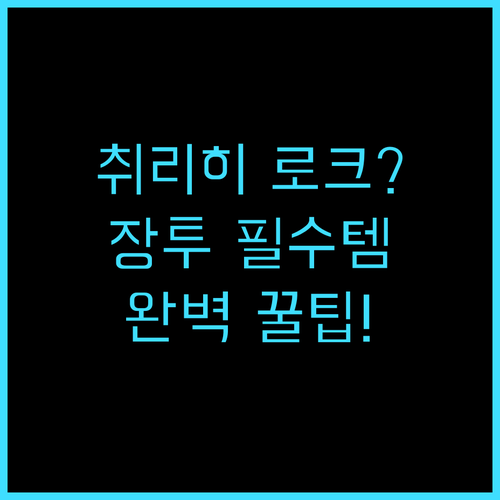 로크 암 플라츠 취리히 장기 투숙 라..