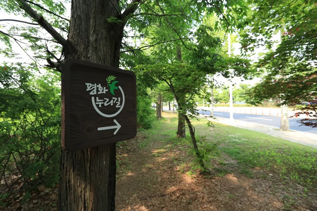 코스 곳곳에 설치된 평화누리길 공식 이정표입니다. 주황색과 분홍색 리본을 함께 확인하며 방향을 잡아야 도심 속 미로를 피할 수 있습니다.