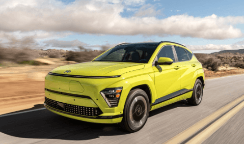 돼지띠 신년운세